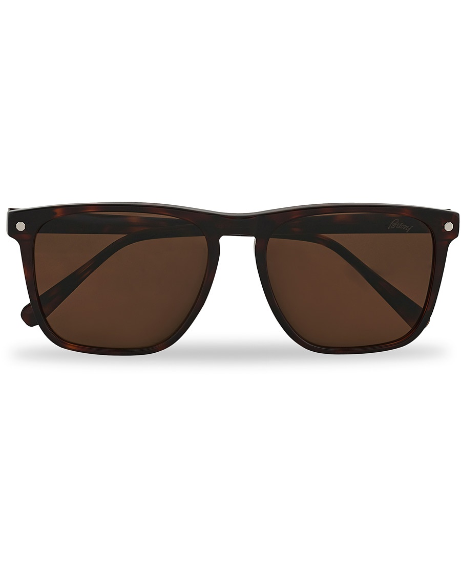 Herre | | Brioni | BR0086S Sunglasses Havana/Brown