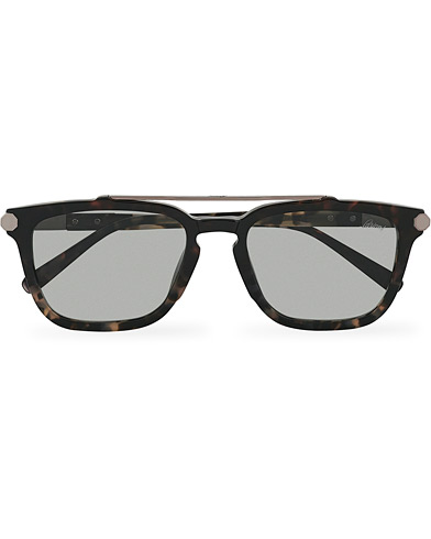 Herre |  | Brioni | BR0078S Sunglasses Havana/Grey