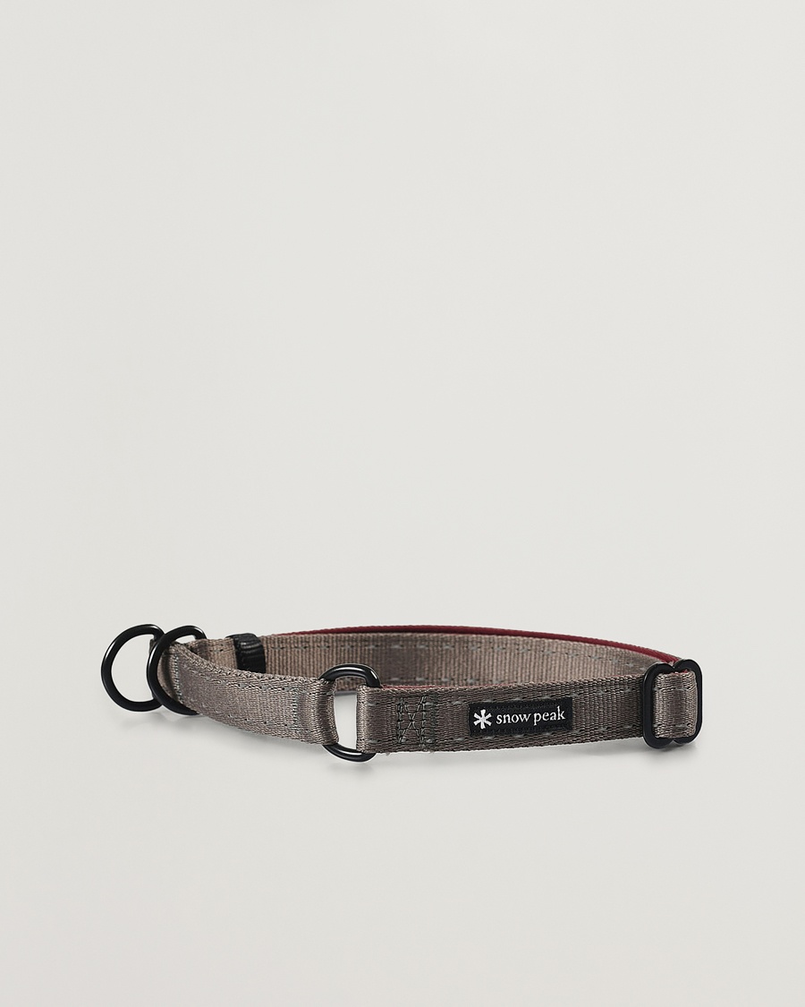  Dog Slip Collar Grey