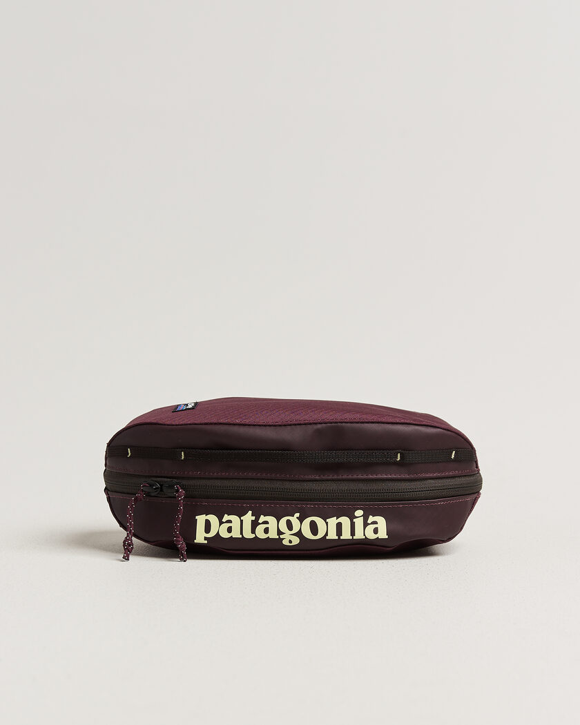 Patagonia Black Hole Cube 3L Berry Fig – Lilla