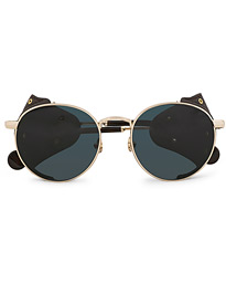  Blazon Polarized Sunglasses Gold/Brown