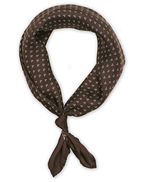  Dotted Scarf Brown