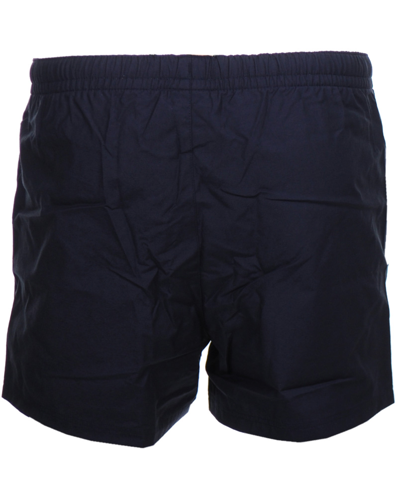 Herre | Shorts | Lacoste | Swim Shorts Marine