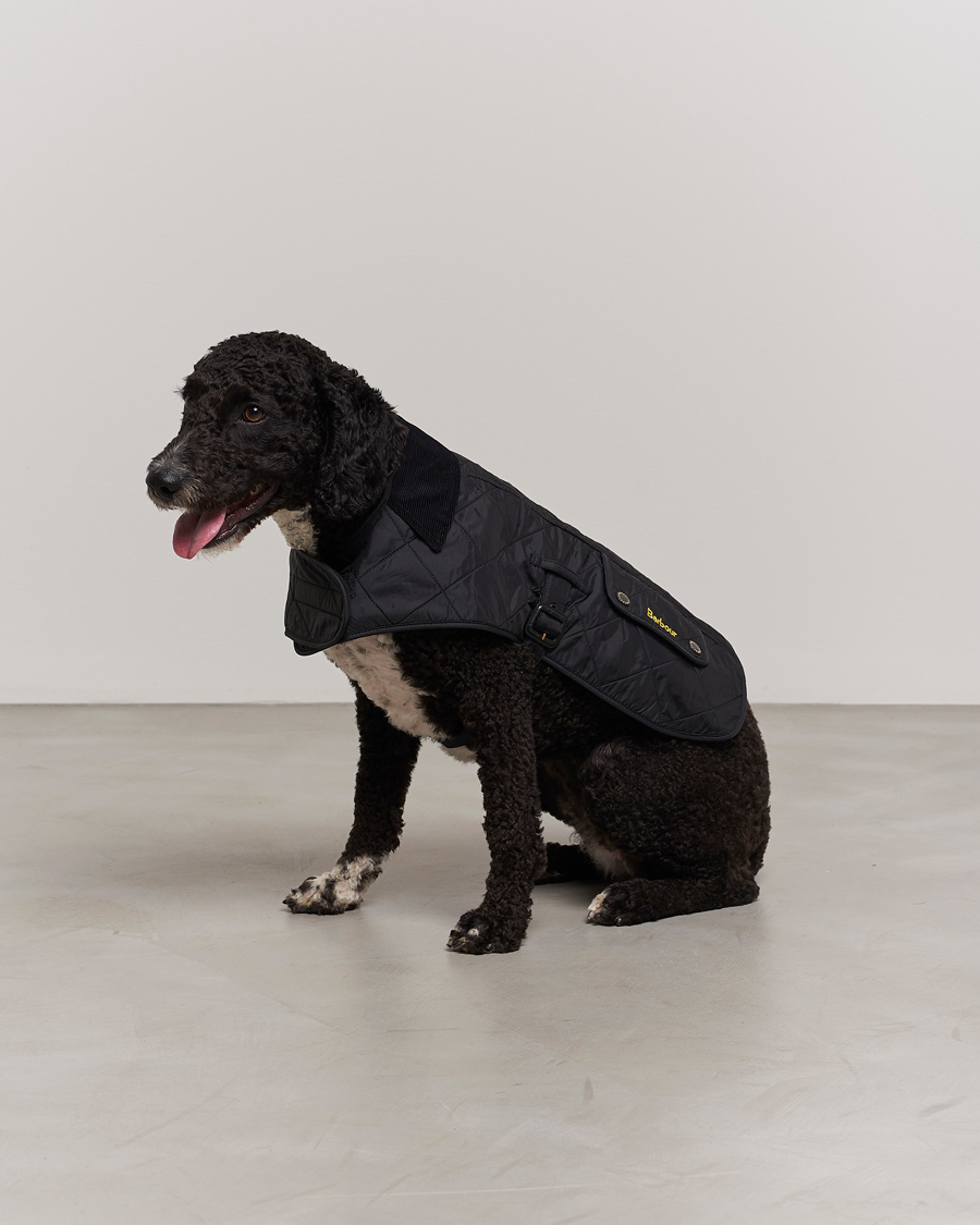 Herre | Afdelinger | Barbour International | Polar Dog Coat Black