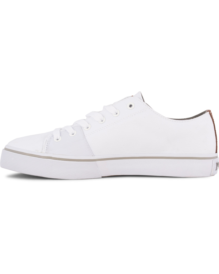 Herre | Polo Ralph Lauren Cantor Low Sneaker Pure White | Polo Ralph Lauren | Cantor Low Sneaker Pure White