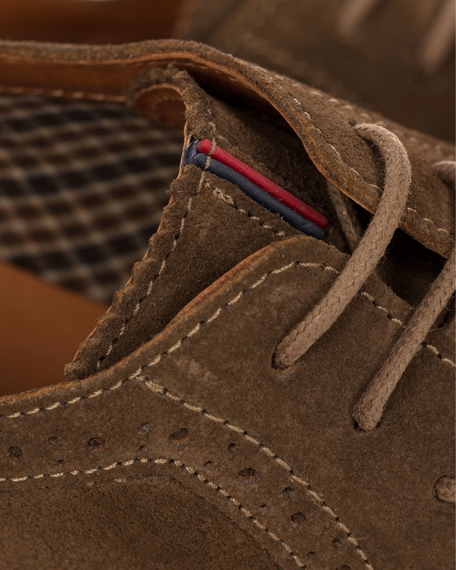 Herre | Tommy Hilfiger Colton 1B Brogue Shitake | Tommy Hilfiger | Colton 1B Brogue Shitake