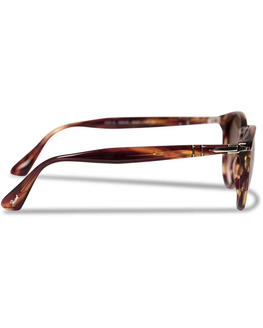 Herre | Persol 0PO3157S Round Sunglasses Brown/Violet Tortoise | Persol | 0PO3157S Round Sunglasses Brown/Violet Tortoise