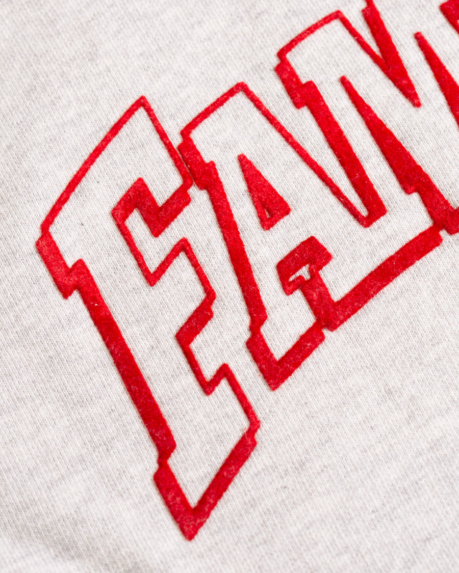 Herre | Trøjer | AMI | Family Flocked Print Hoodie Heather Grey
