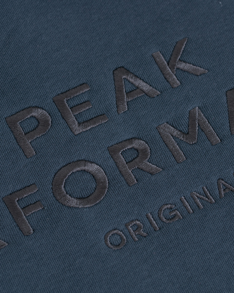 Herre | Trøjer | Peak Performance | Original Hoodie Blue Steel