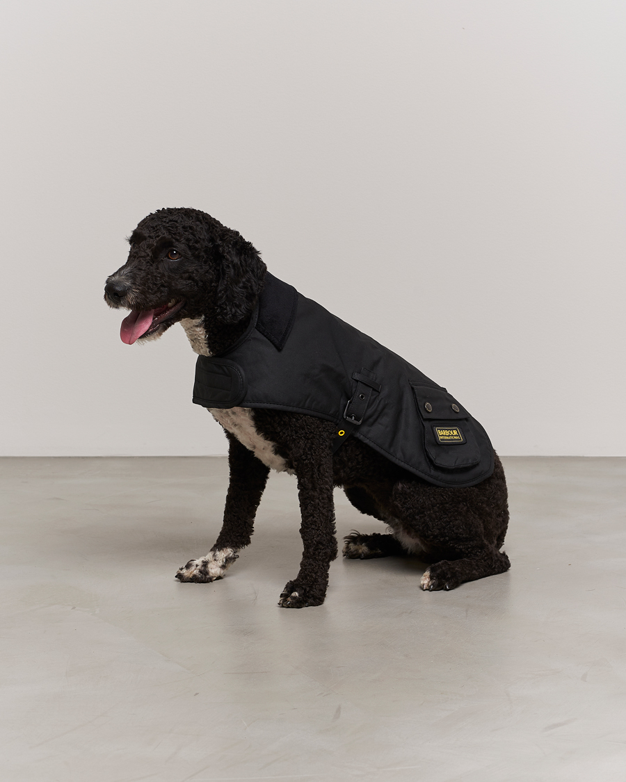 Herre | Til hunden | Barbour International | Dog Coat Black