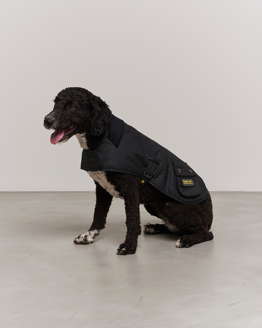 Herre | Best of British | Barbour International | Dog Coat Black