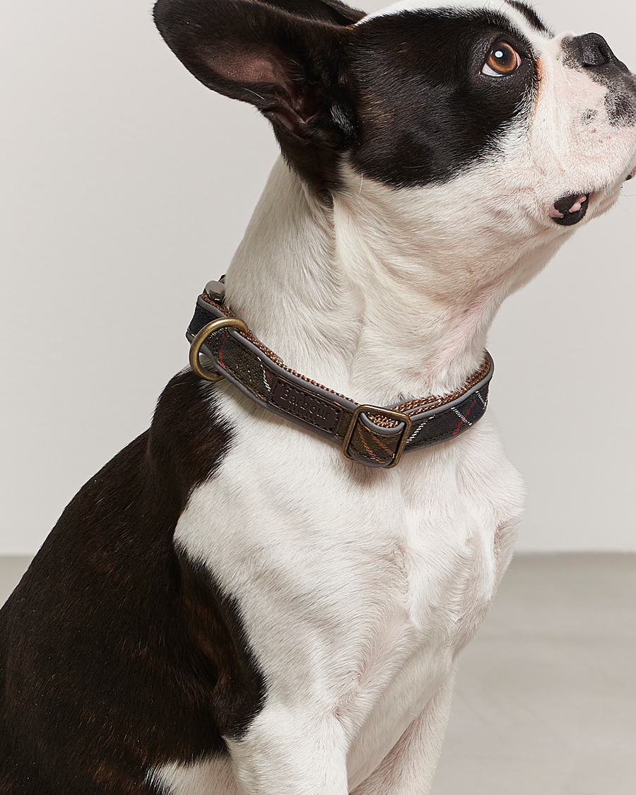 Herre | Afdelinger | Barbour International | Reflective Tartan Dog Collar Classic