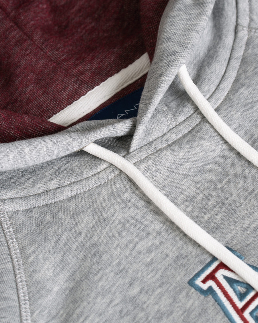 Herre | Trøjer | GANT | Graphic Sweat Hoodie Grey Melange
