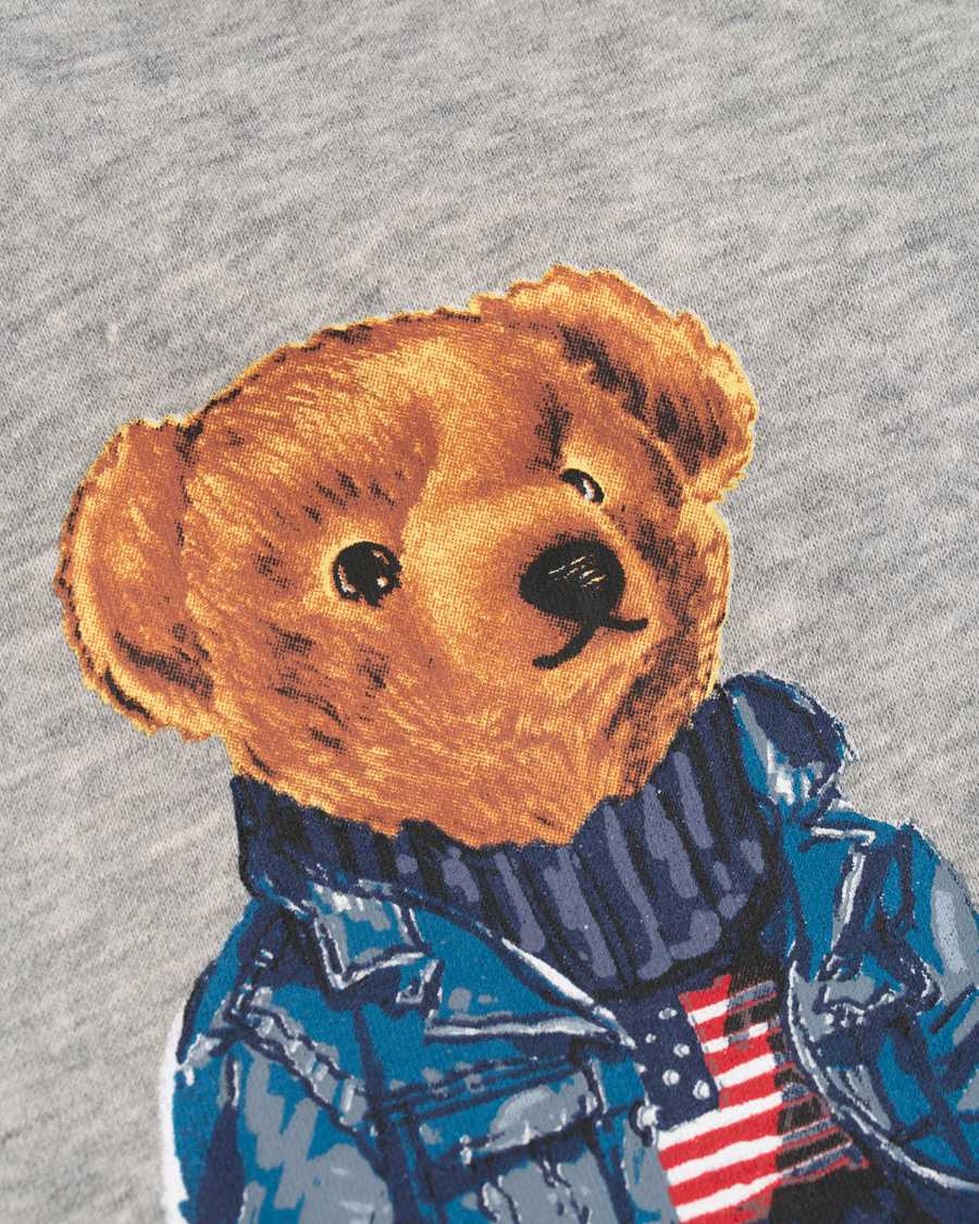Herre | Trøjer | Polo Ralph Lauren | Bear Hoodie Andover Heather
