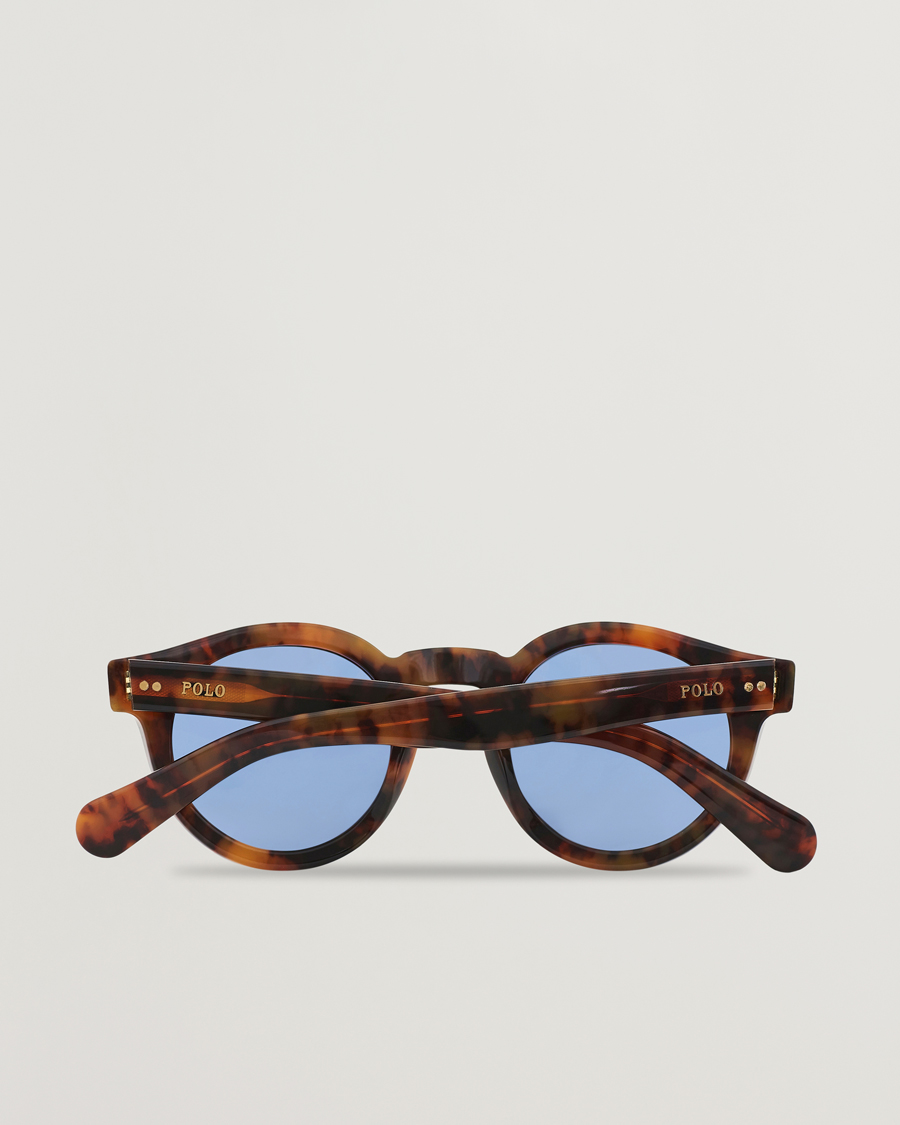 Herre | Polo Ralph Lauren PH4165 Sunglasses Havana/Blue | Polo Ralph Lauren | PH4165 Sunglasses Havana/Blue