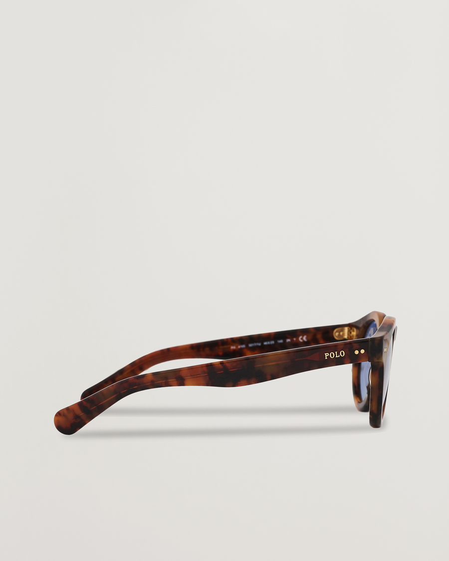 Herre | Polo Ralph Lauren PH4165 Sunglasses Havana/Blue | Polo Ralph Lauren | PH4165 Sunglasses Havana/Blue