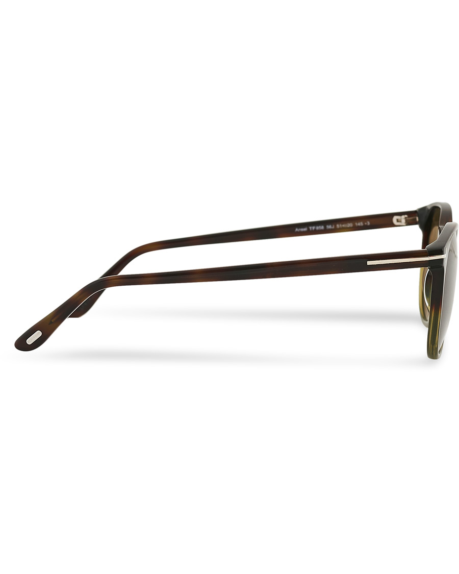 Herre | Solbriller | Tom Ford | Ansel Sunglasses Havana/Roviex