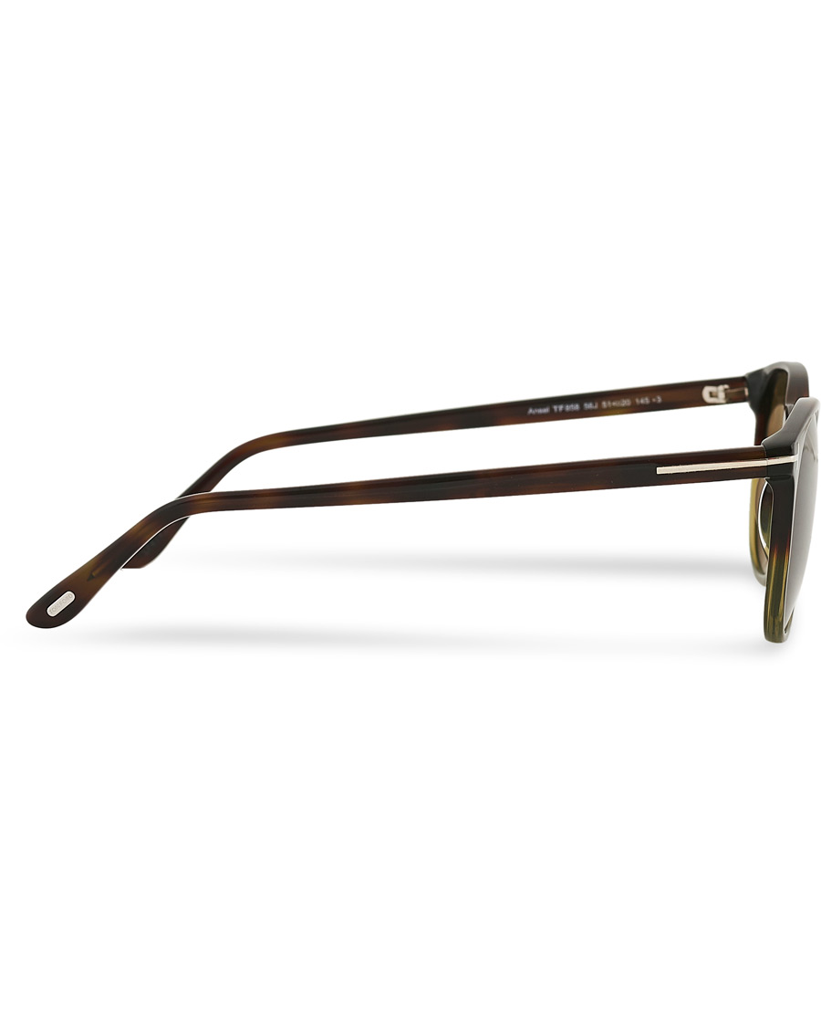 Herre | Tom Ford Ansel Sunglasses Havana/Roviex | Tom Ford | Ansel Sunglasses Havana/Roviex