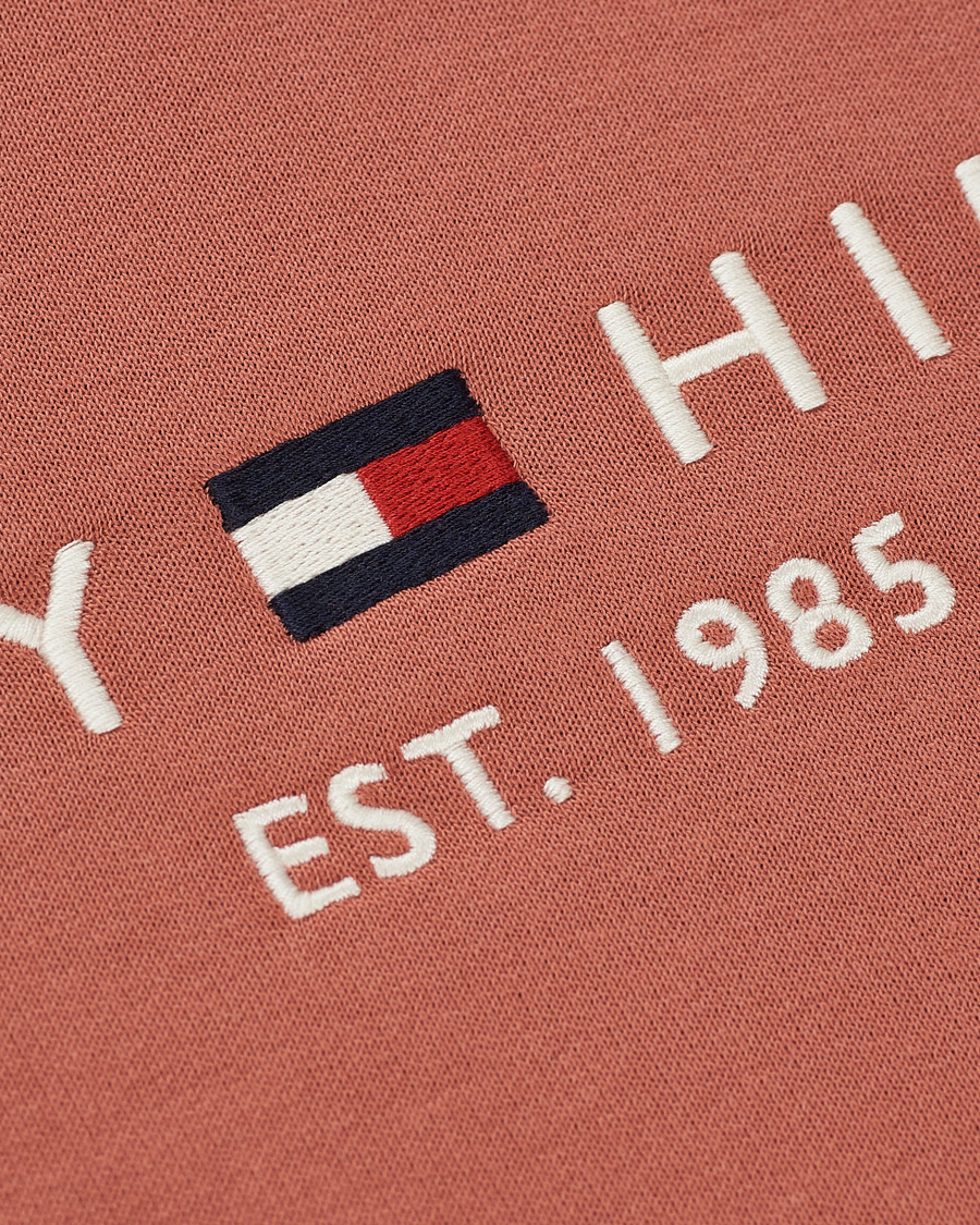 Herre | Trøjer | Tommy Hilfiger | Logo Hoodie Mineralize