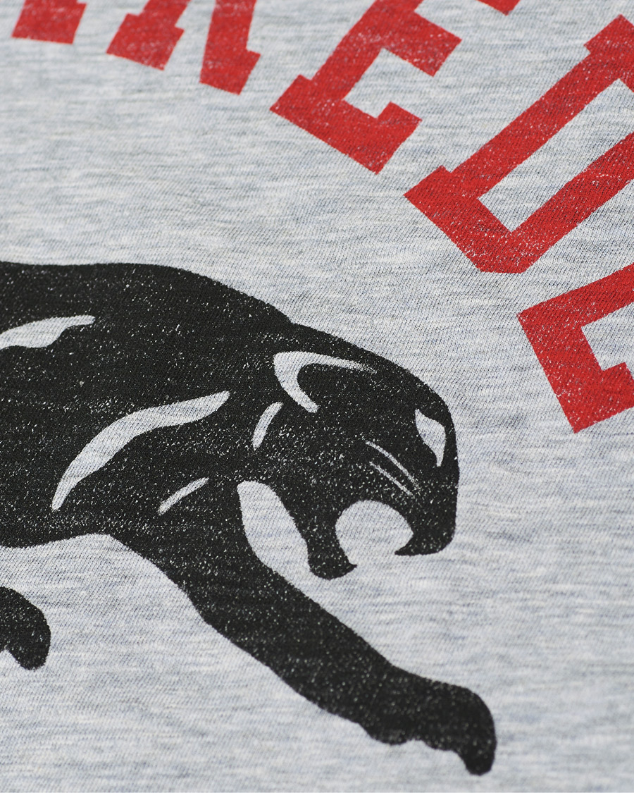 Herre | T-Shirts | Dsquared2 | Tiger Tee Grey Heather