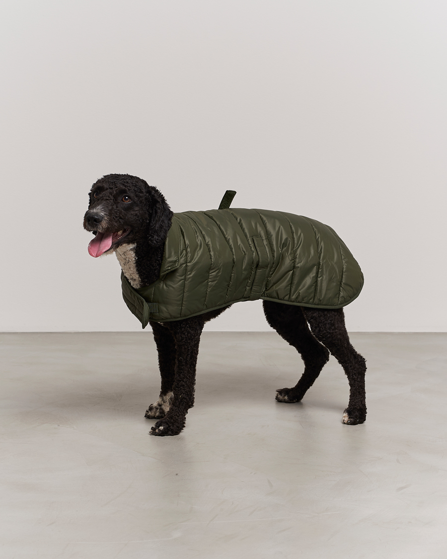 Herre | Barbour Lifestyle Baffle Quilt Dog Coat Olive | Barbour Lifestyle | Baffle Quilt Dog Coat Olive