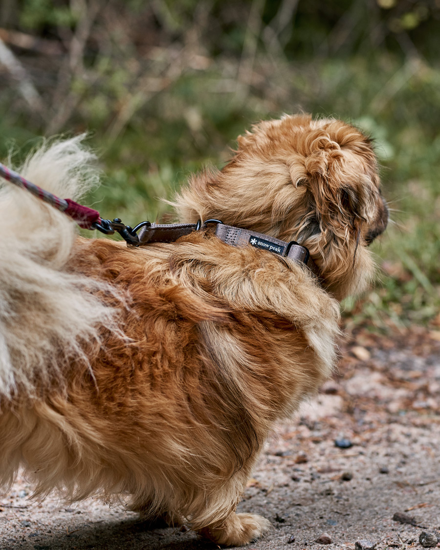 Herre | Snow Peak | Snow Peak | Dog Slip Collar Grey