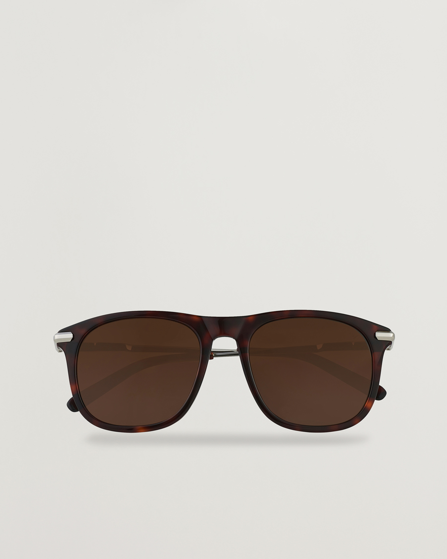 Herre | Brioni BR0094S Sunglasses Havana Brown | Brioni | BR0094S Sunglasses Havana Brown