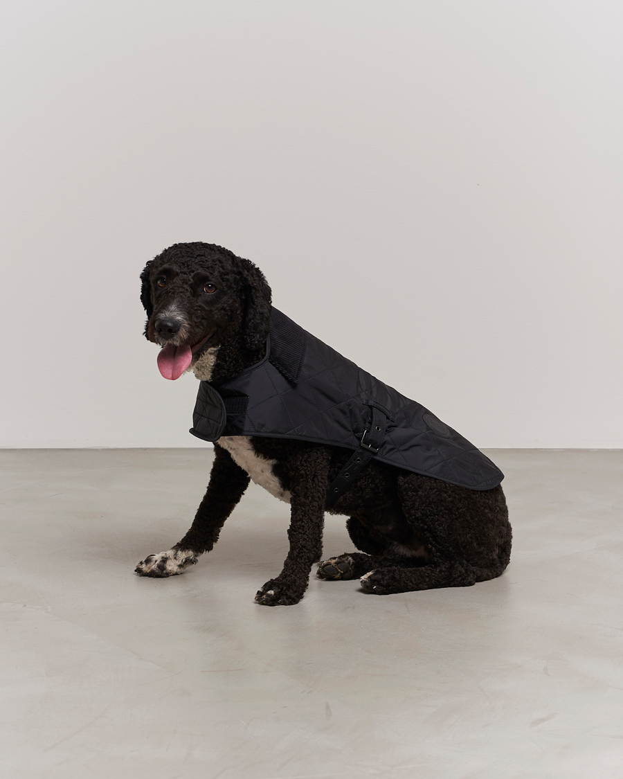 Herre | Best of British | Barbour Lifestyle | Quilted Dog Coat Black