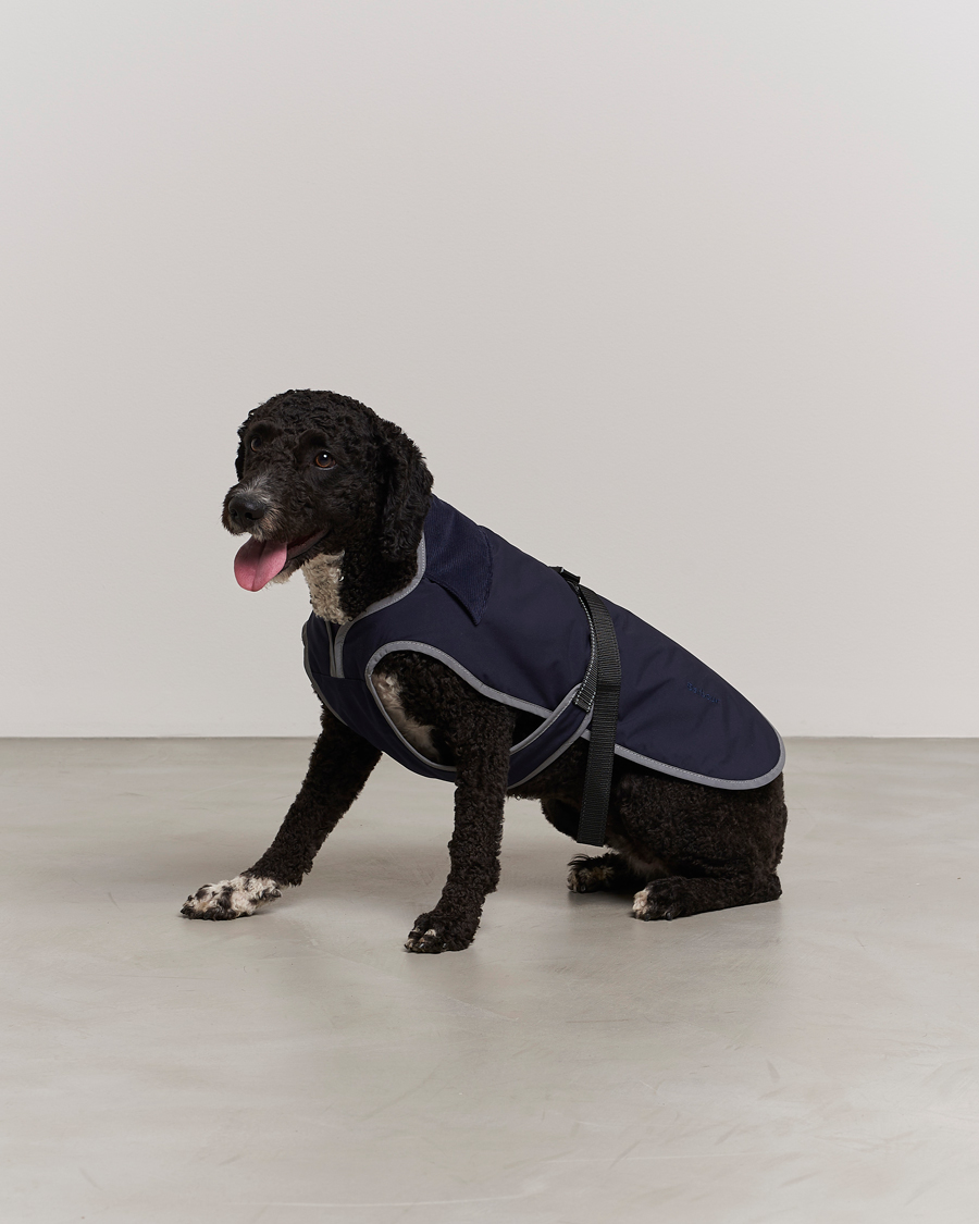 Barbour waterproof store dog coat
