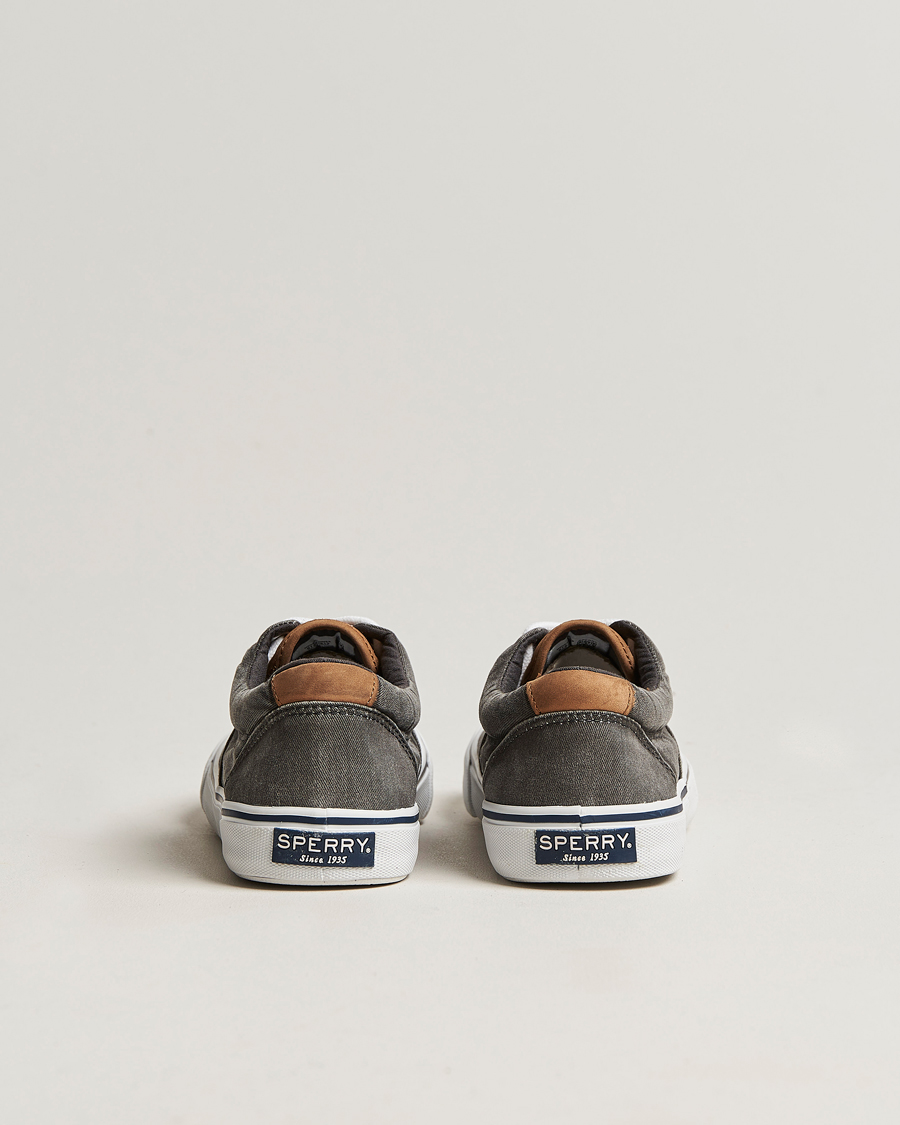 Herre | Sperry Striper II Canvas Sneaker Whased Black | Sperry | Striper II Canvas Sneaker Whased Black