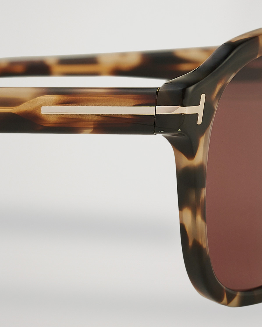 Herre | Tom Ford Avery Sunglasses Havana/Bordeaux | Tom Ford | Avery Sunglasses Havana/Bordeaux