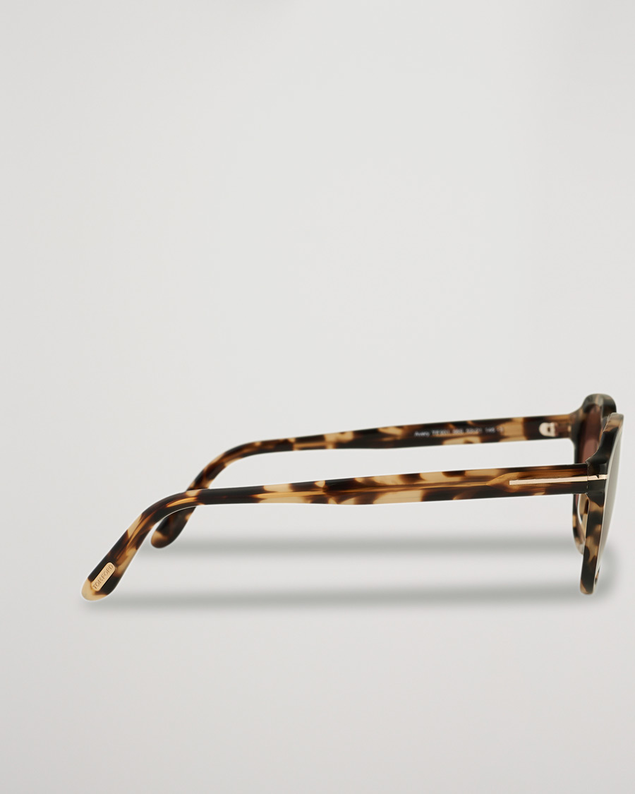 Herre | Tom Ford Avery Sunglasses Havana/Bordeaux | Tom Ford | Avery Sunglasses Havana/Bordeaux