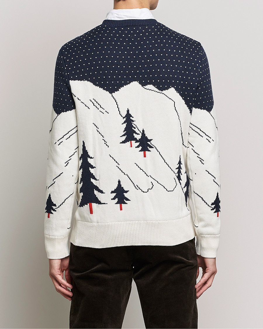 Herre | Trøjer | Polo Ralph Lauren | Cotton Ski Knitted Sweater Navy Multi