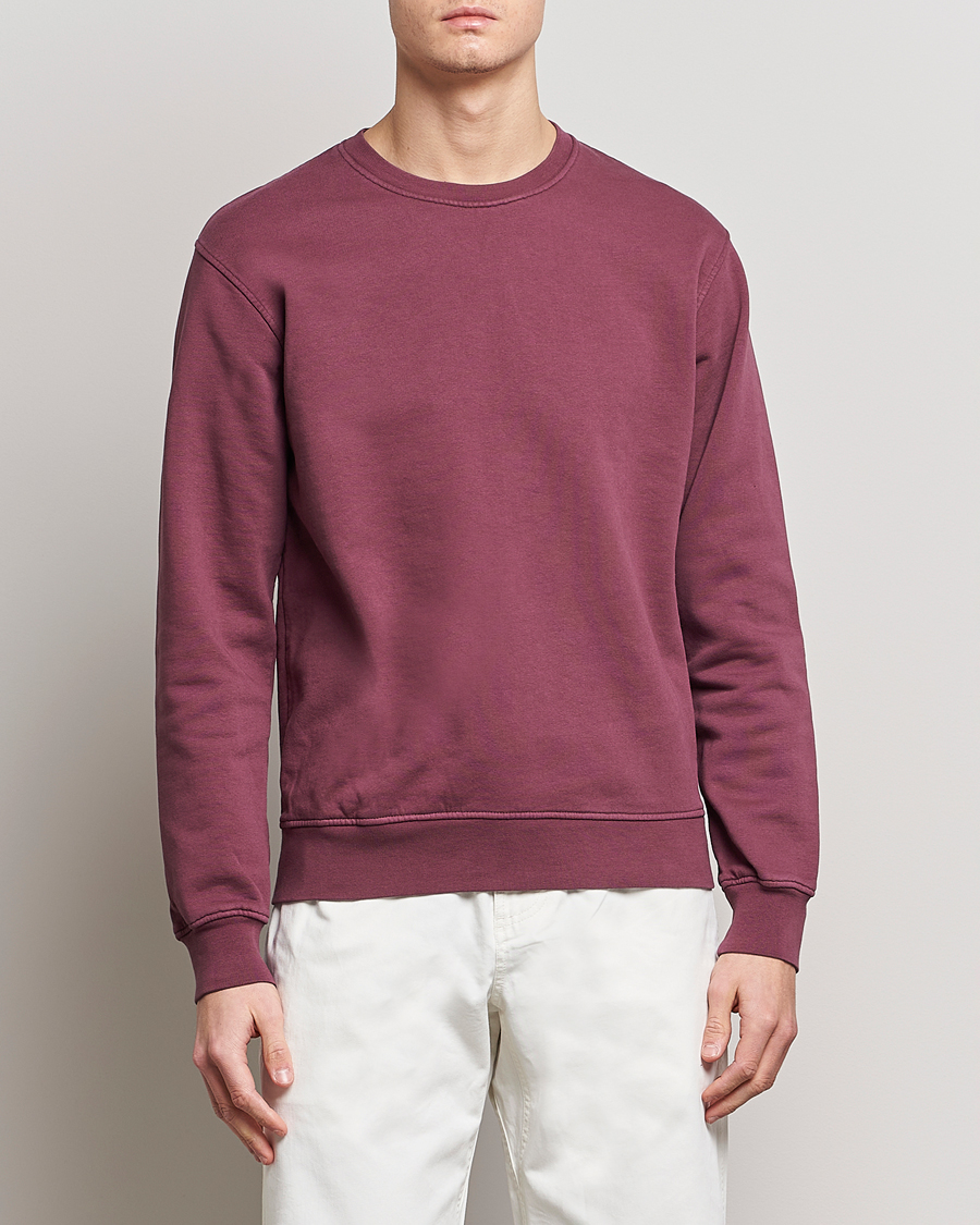 Herr |  | Colorful Standard | Classic Organic Crew Neck Sweat Dusty Plum