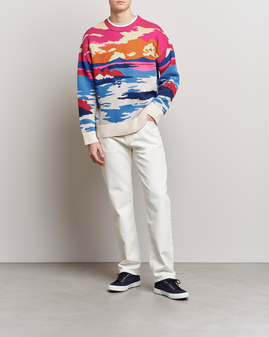 Herre | Trøjer | GANT | Landscape Printed Knitted Crew Neck Multi