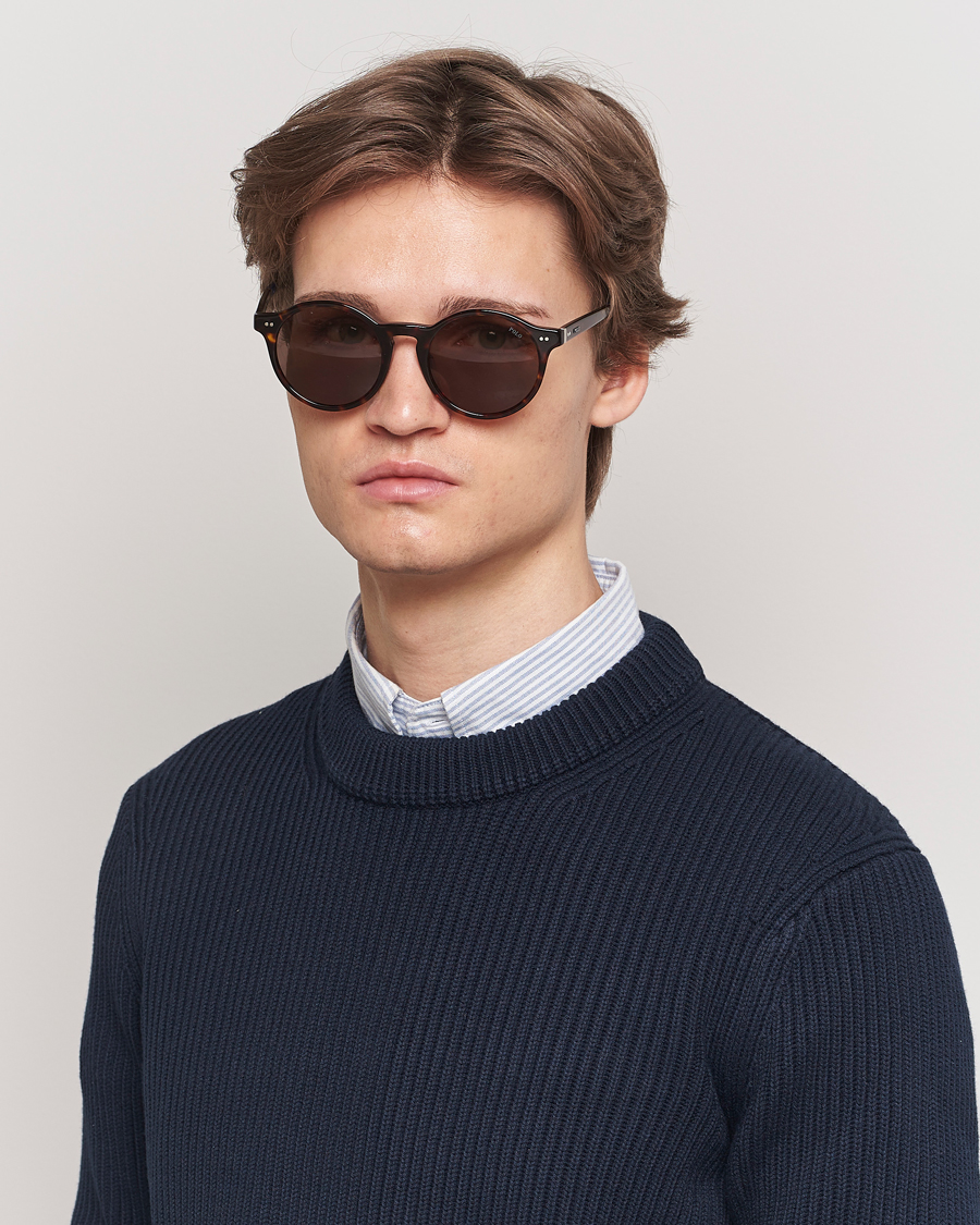 Men |  | Polo Ralph Lauren | 0PH4204U Sunglasses Dark Havana