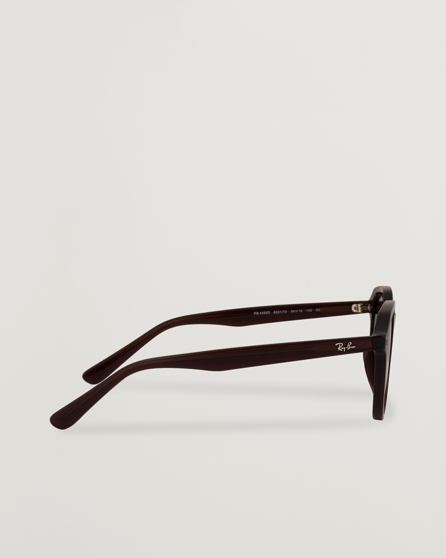 Herre | Solbriller | Ray-Ban | 0RB4459D Sunglasses Opal Brown