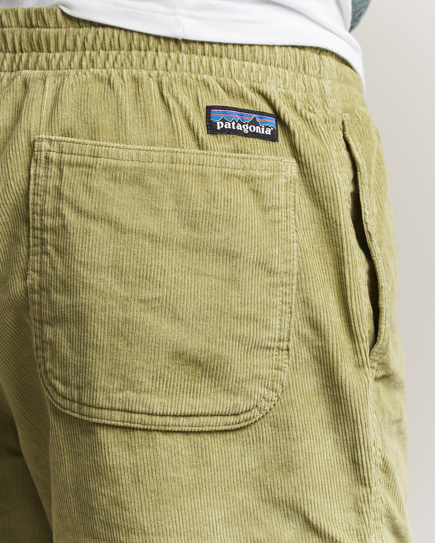 Herre | Shorts | Patagonia | Corduroy Volley Shorts Green