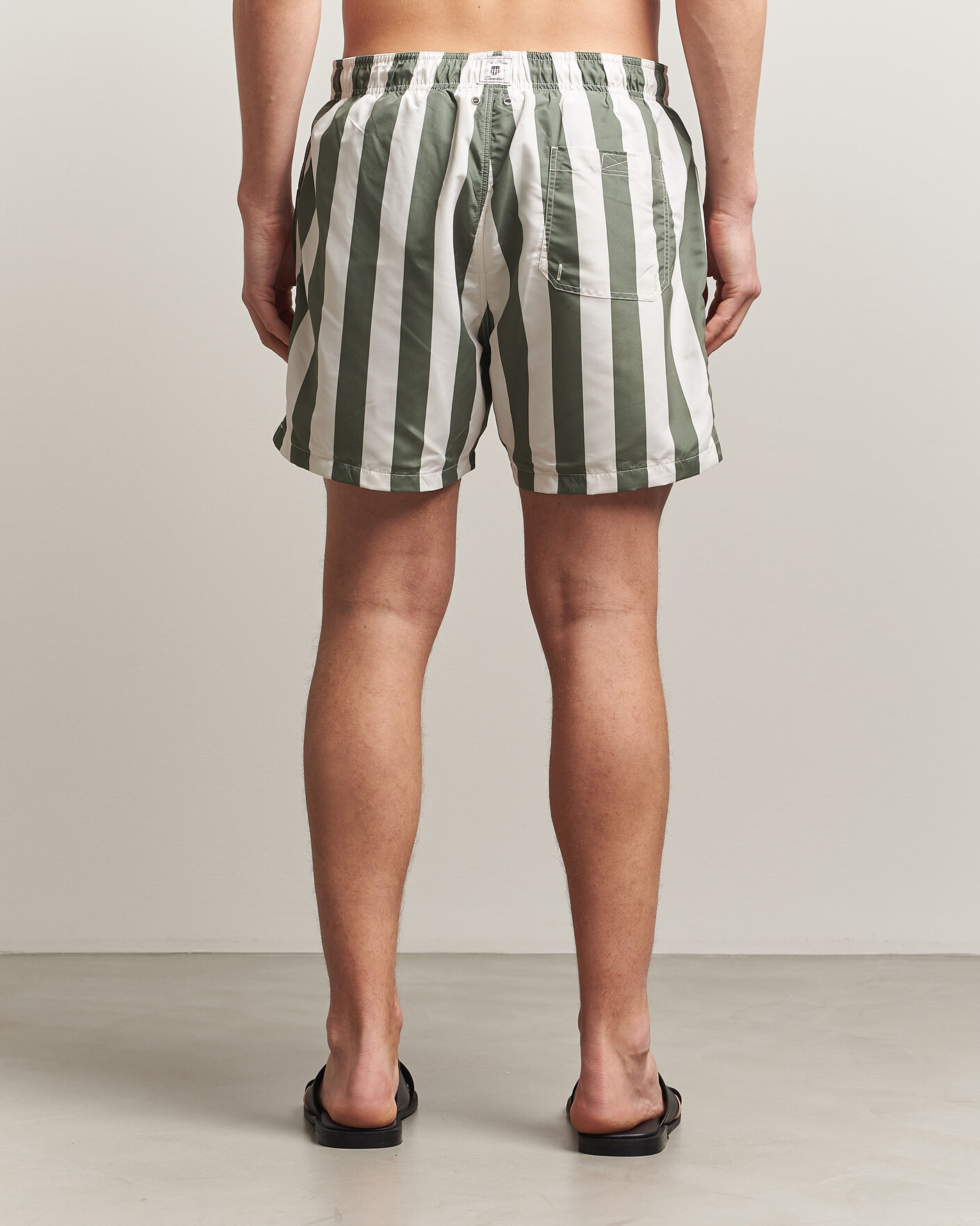 Herre | Badebukser | GANT | Blockstriped Swimshorts Dry Herb Green