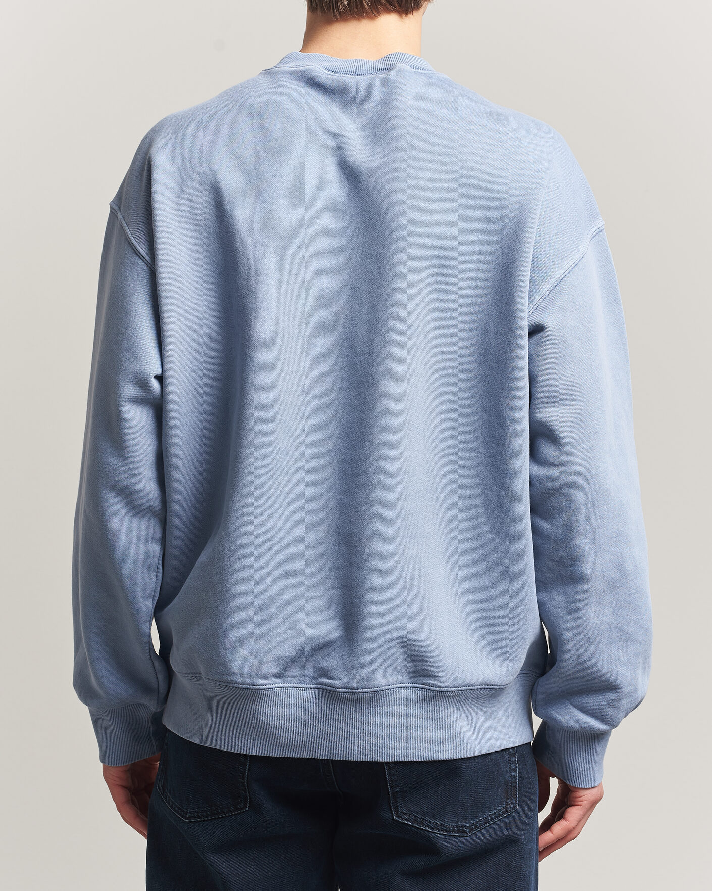 Herre | Trøjer | Carhartt WIP | Nelson Sweatshirt Gentle Blue