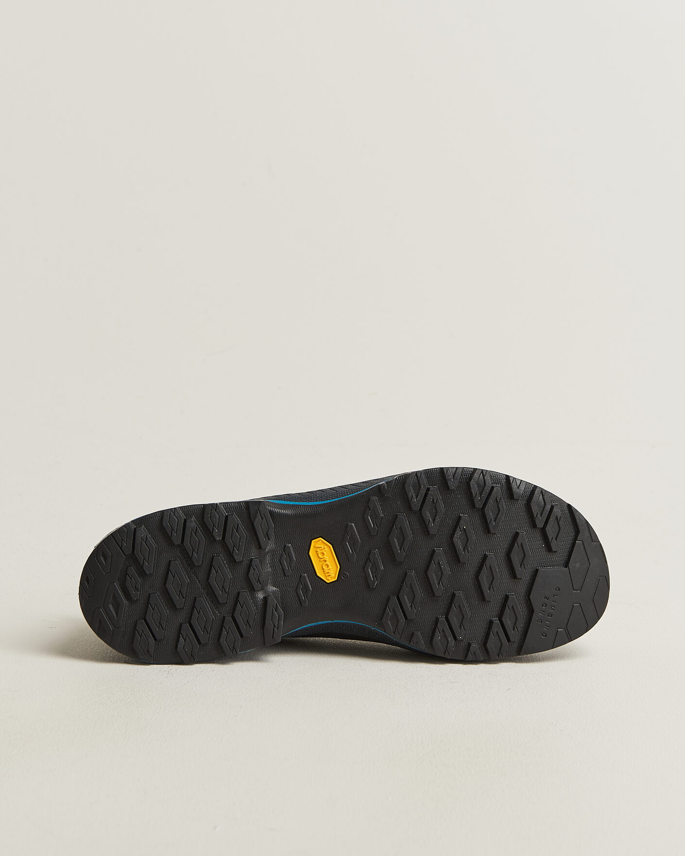 Herre | Vandresko | La Sportiva | TX4 EVO Cypress/Night Sky