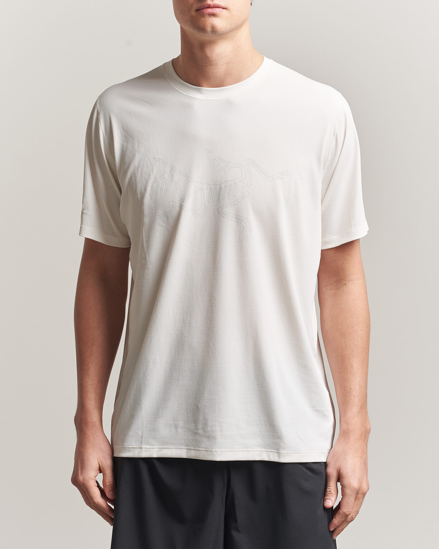 Herre | T-Shirts | Arc'teryx | Cormac Bird Logo Crew Neck T-Shirt Arctic Silk