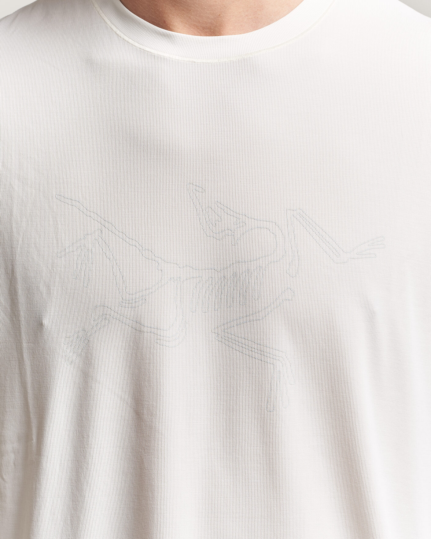 Herre | T-Shirts | Arc'teryx | Cormac Bird Logo Crew Neck T-Shirt Arctic Silk