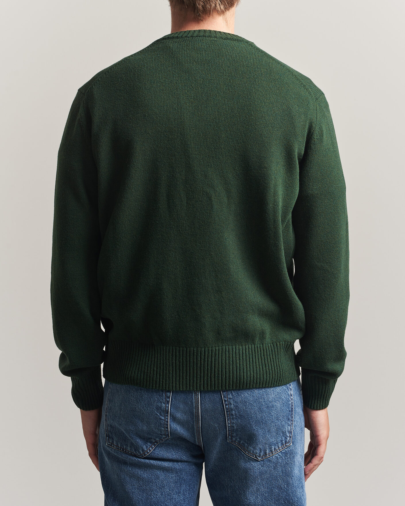 Herre | Trøjer | Lacoste | Carded Wool Crew Neck Sinople
