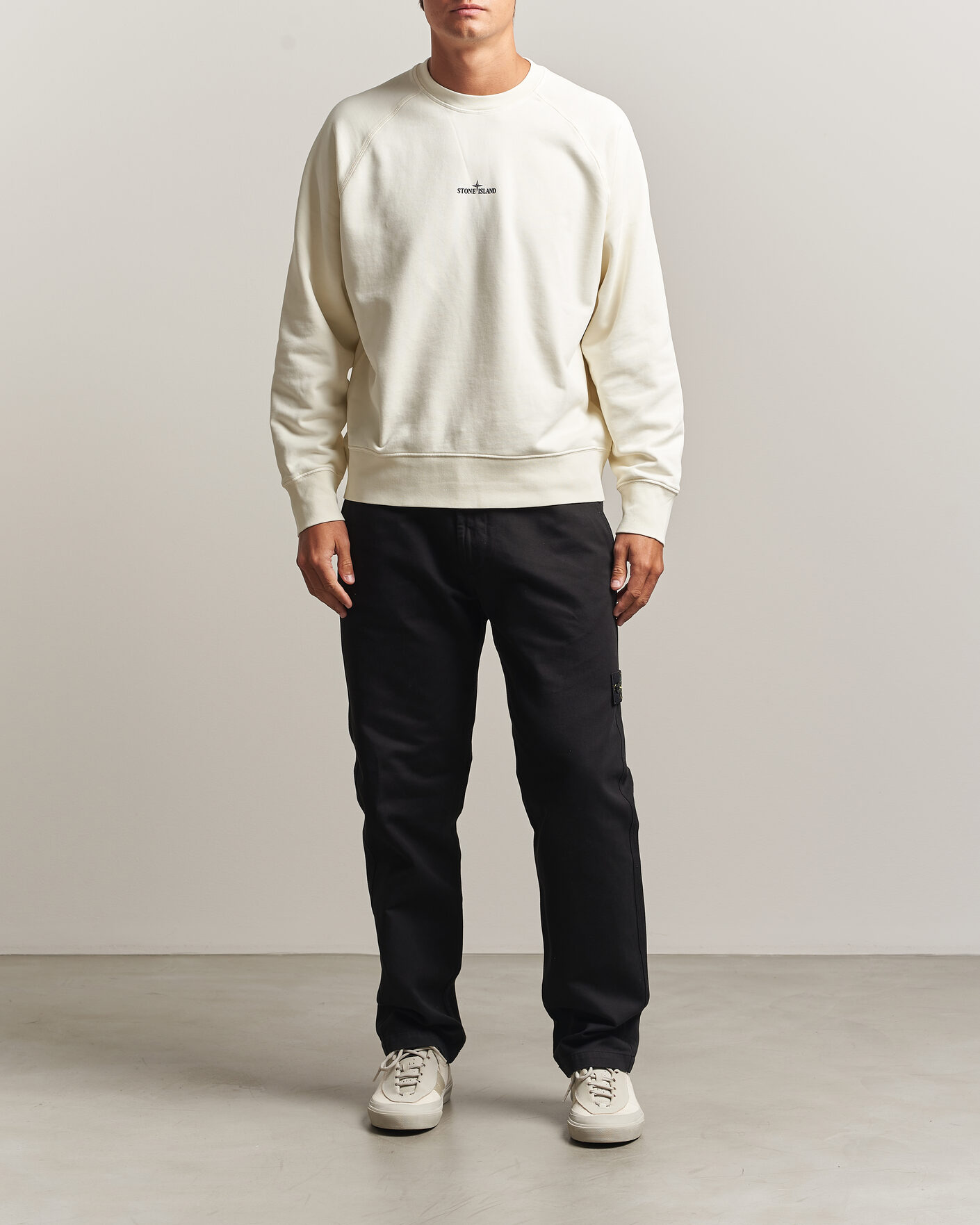 Herre | Trøjer | Stone Island | Garment Dyed Fleece Desert Print Sweatshirt Ivory