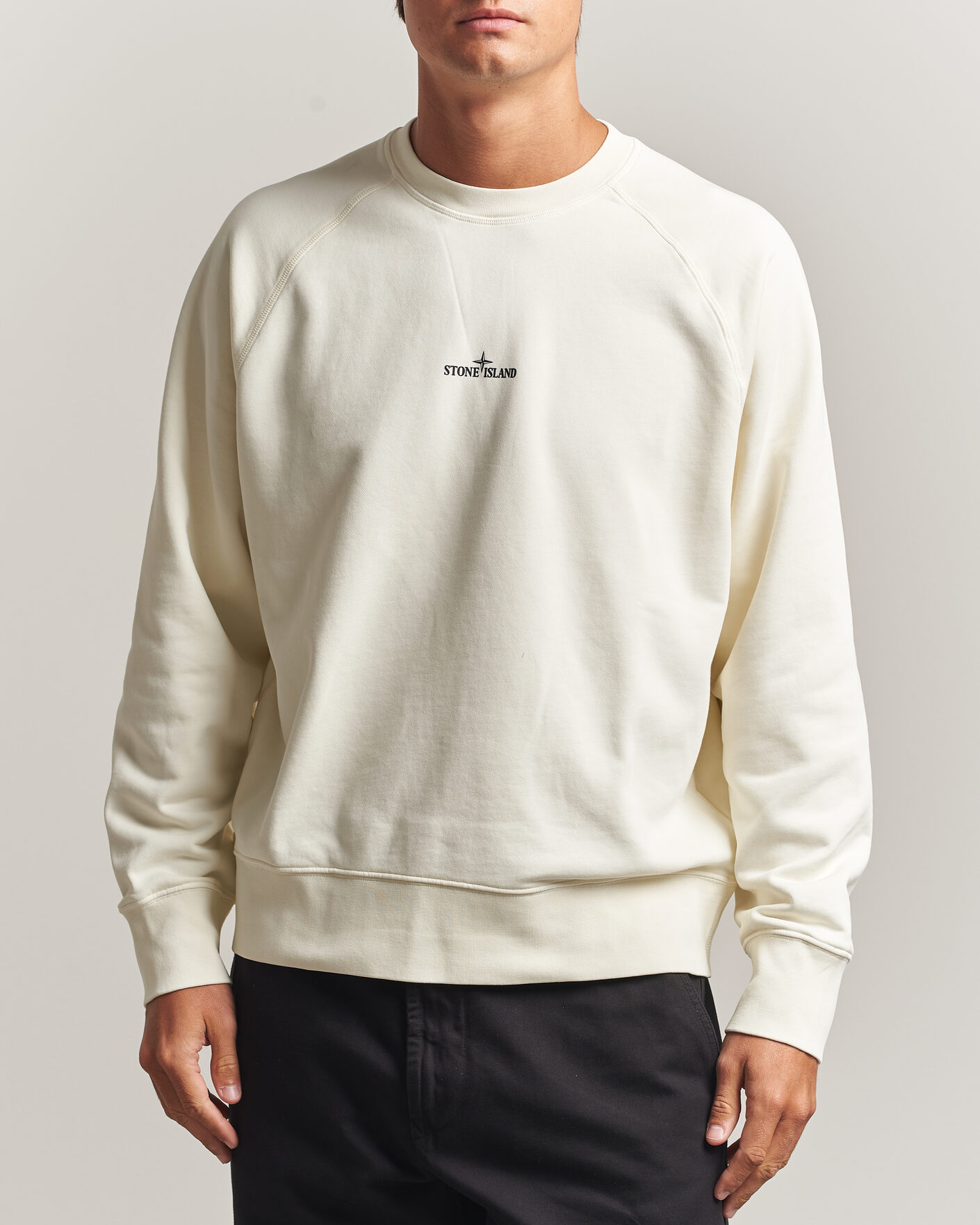 Herre | Trøjer | Stone Island | Garment Dyed Fleece Desert Print Sweatshirt Ivory