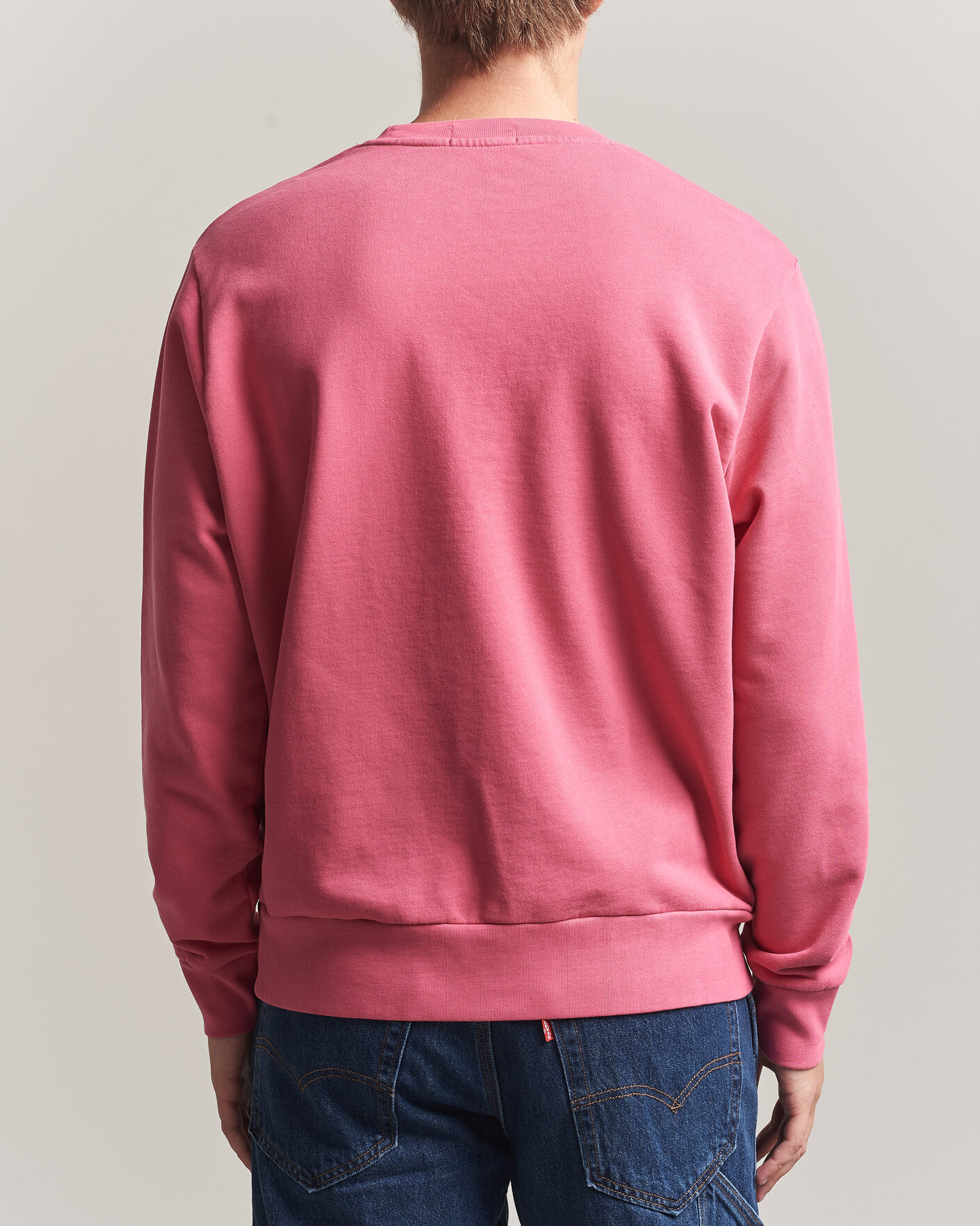 Herre | Trøjer | Polo Ralph Lauren | Loopback Terry Sweatshirt Terrance Pink