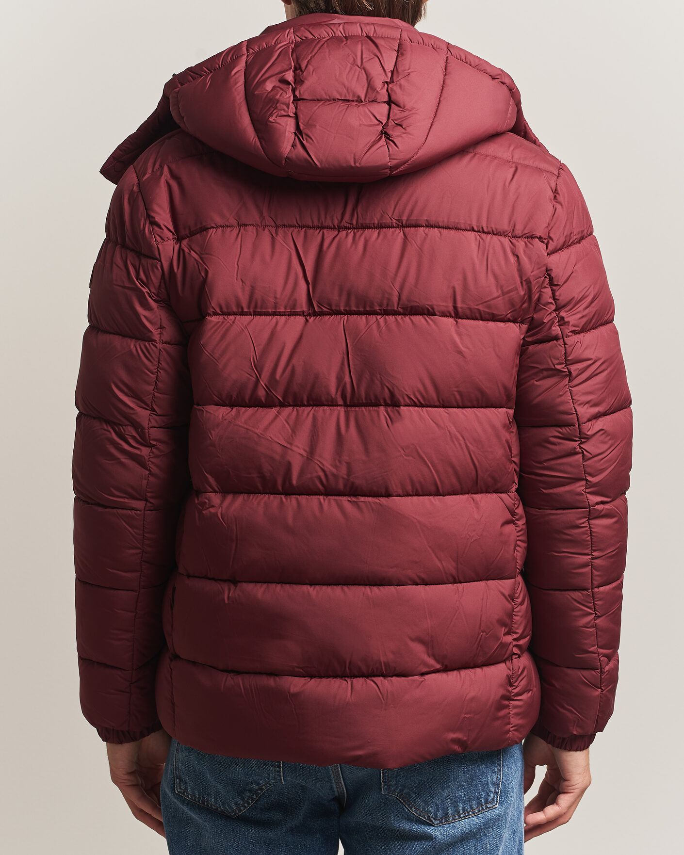 Herre | Jakker | Save The Duck | Boris Matt Padded Puffer Wine Red