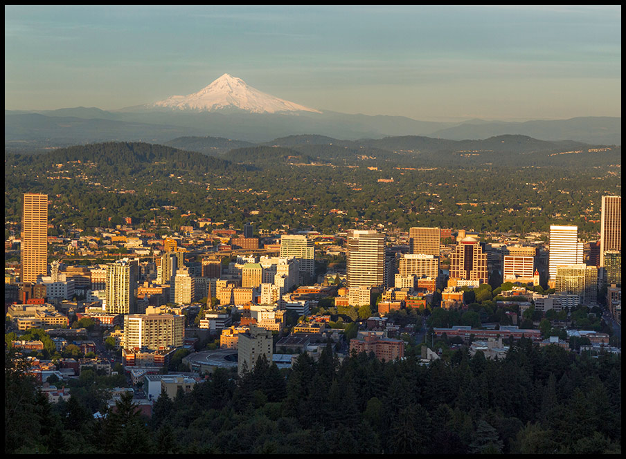 Tre byer, du kan gå på opdagelse i med naturoplevelser lige rundt om hjørnet